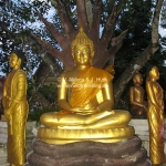 Goldene Buddhas Chiang Rai / Thailand